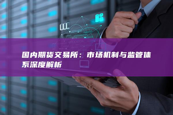 市場機制與監(jiān)管體系深度解析