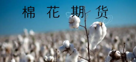 鄭商所征收棉花期貨2209和2211日內平今手續(xù)費(圖1)